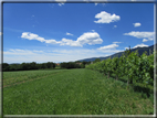 foto Paesaggi alle Pendici del Monte Grappa